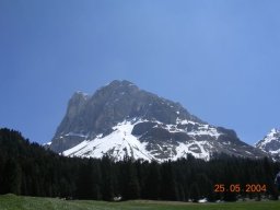 DSCN1229