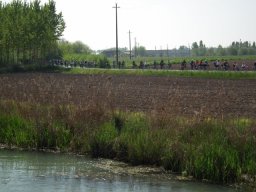 DSCF6003