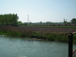 DSCF6004