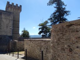 IMG_20220625_152535